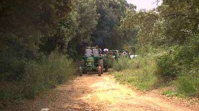 La caravana de autobuses se interna por el bosque de las Arcas, en dirección a la casa de la Abuelita (Choza de los Pastores)