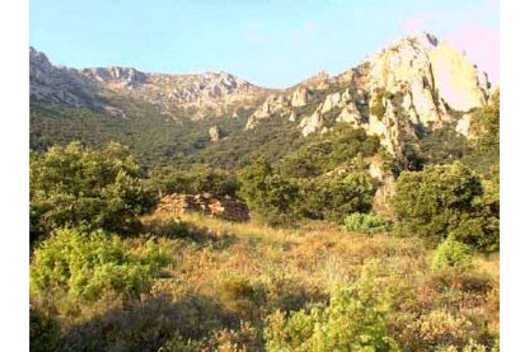 Choza de los Pastores Choza de los Pastores