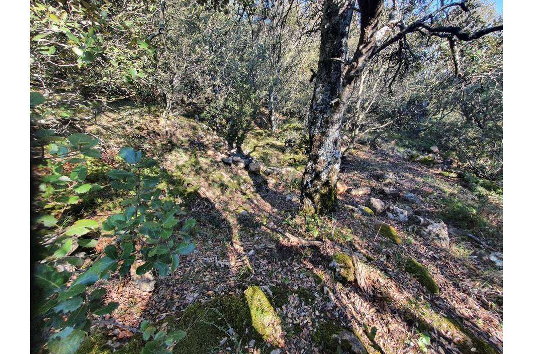 Restos Ermita de Santa Engracia Restos Ermita de Santa Engracia