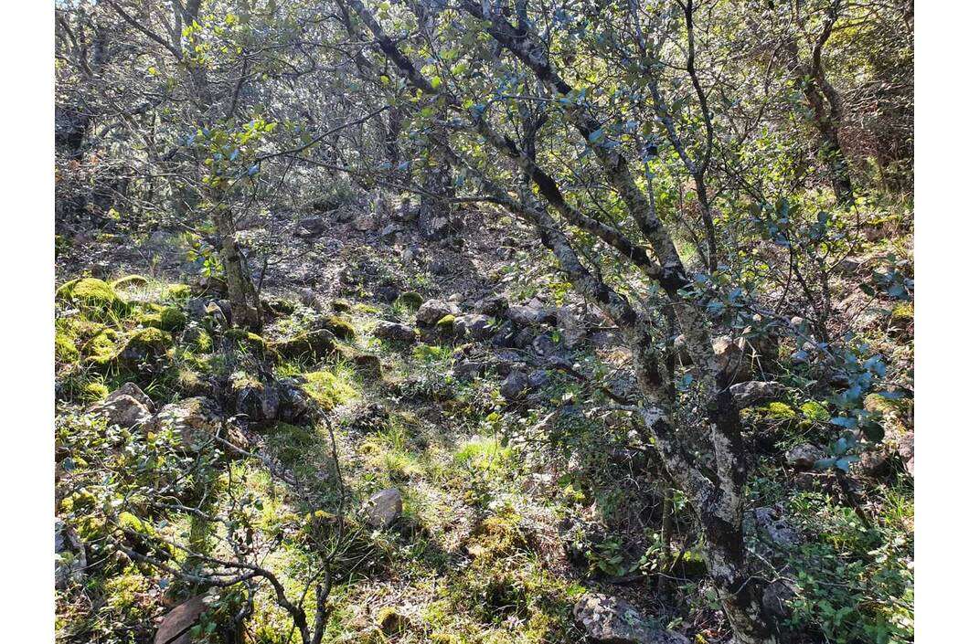 Restos Ermita de Santa Engracia Restos Ermita de Santa Engracia