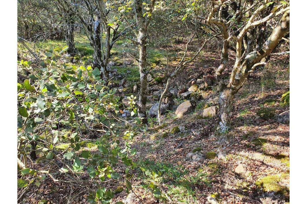 Restos Ermita de Santa Engracia Restos Ermita de Santa Engracia