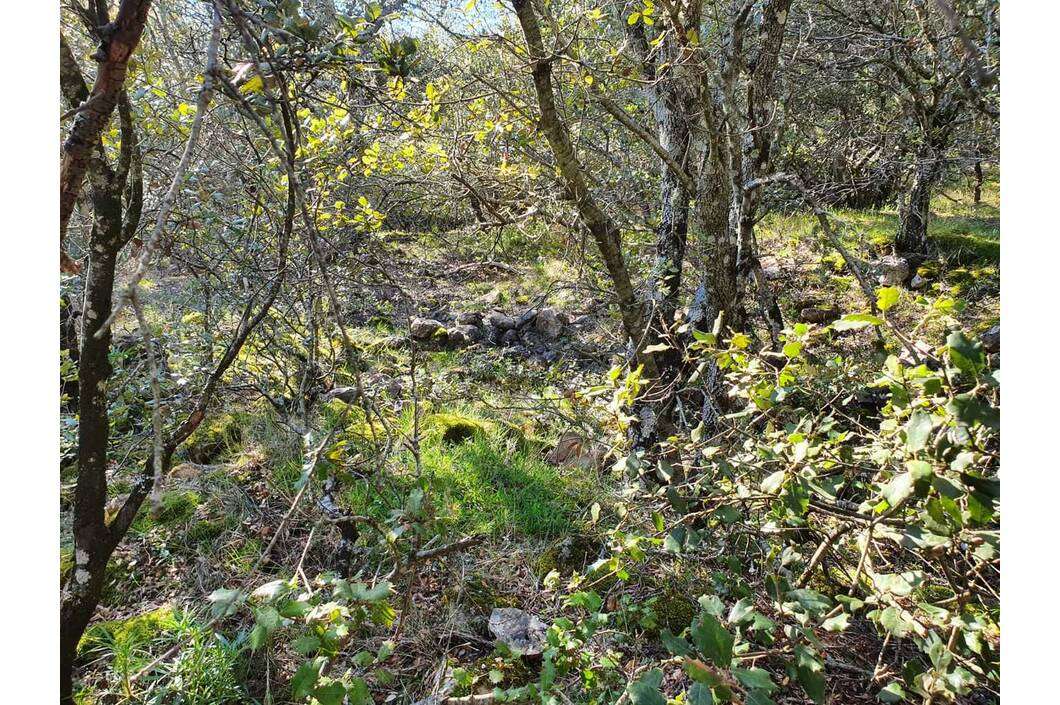 Restos Ermita de Santa Engracia Restos Ermita de Santa Engracia