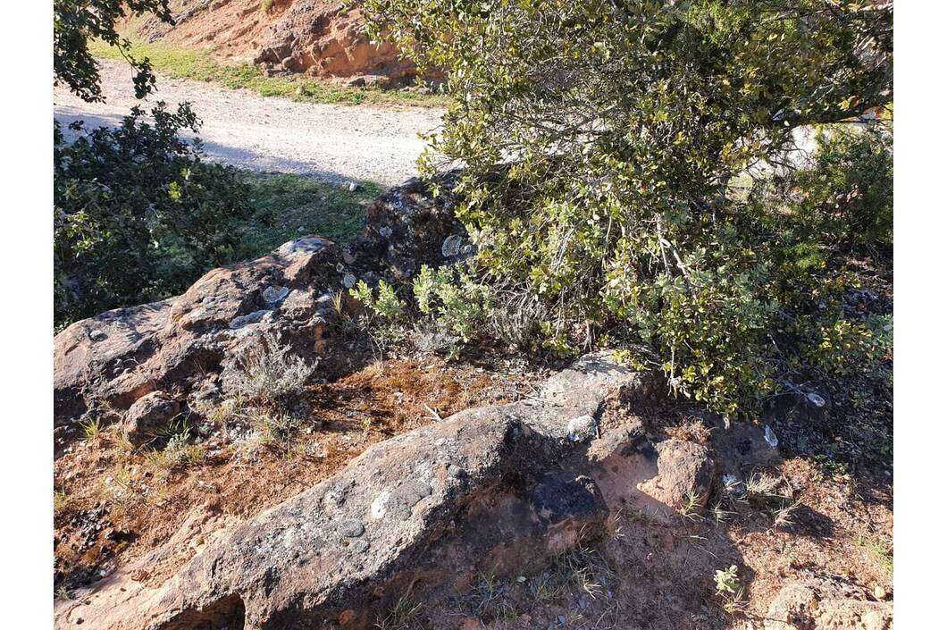Tumba de la Necropolis de San Martín Tumba de la Necropolis de San Martín