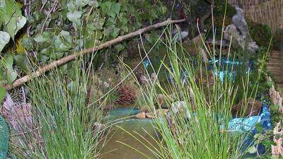 EXPOSICIÓN “LA CAZA Y LA PESCA EN AZUELO