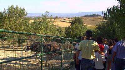 Excursión a las bodegas de Laguardia