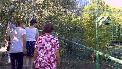 Excursión a las bodegas de Laguardia