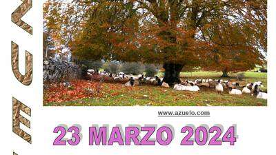 DIA DE LA MUJER DE AZUELO 2024