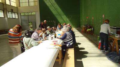 ROMERIA A CODES 2025