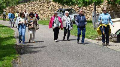 ROMERIA A CODES 2025