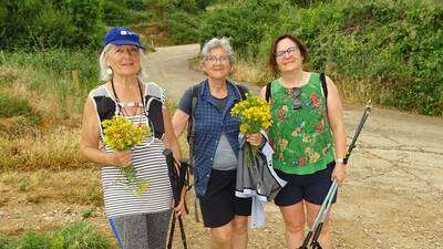 XVII MARCHA “RUTA DE LOS LAVADEROS”