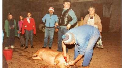 LA MATANZA DEL COCHO EN AZUELO EN ETNOLAN