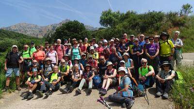 ASOCIACION EL ROBLE EN AZUELO