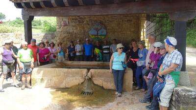 ASOCIACION EL ROBLE EN AZUELO