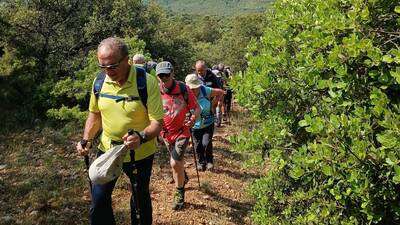 ASOCIACION EL ROBLE EN AZUELO