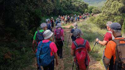 ASOCIACION EL ROBLE EN AZUELO