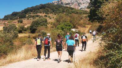 CAMINO DEL VIEJO REINO