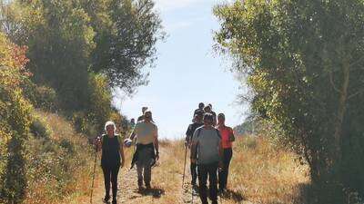 CAMINO DEL VIEJO REINO
