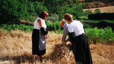 Fernando, con las mocetas, Isabel y Merche, se pone a atar las gavillas, para terminara una con los segadores.