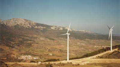 “Molinos” instalados en lo alto de los pinos de La Salera; se acabó el cazar palomas aquí en el tiempo de la pasa