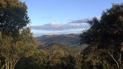 Vista de los molinos desde la Choza de los Pastores.