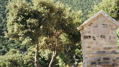 Vista del antiguo Nacedero de Covalonso desde la Fuente de Santa Engracia. Lo verás a la izquierda de la imagen entre el encinar.