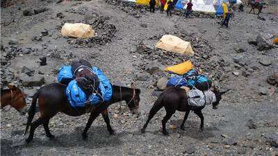 06.- Campamento Salto del Agua