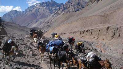 18.- Descendiendo del Aconcagua en buena compañía