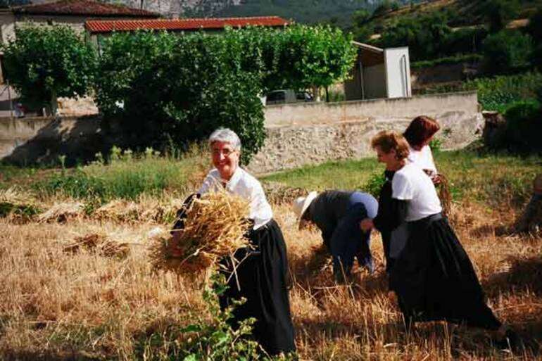 ¡Cómo disfrutaron las mocetas, dando gavillas! No hay duda de que el veranear en Azuelo, tiene su encanto y satisfacción para quienes acuden en verano