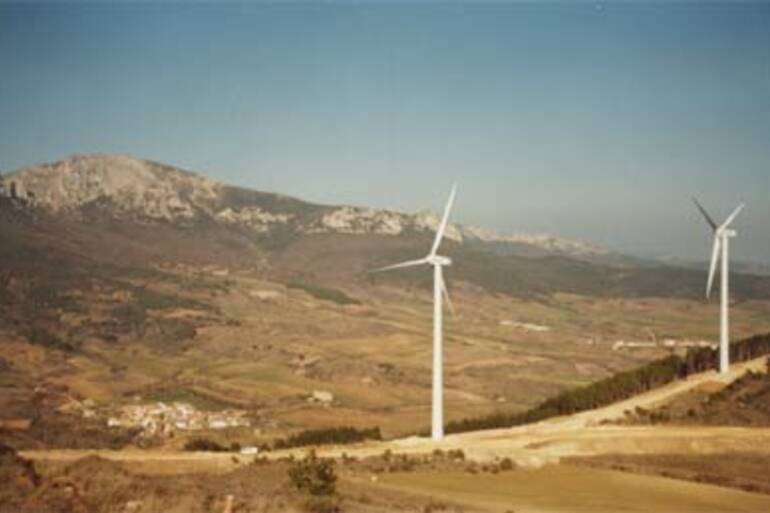 “Molinos” instalados en lo alto de los pinos de La Salera; se acabó el cazar palomas aquí en el tiempo de la pasa